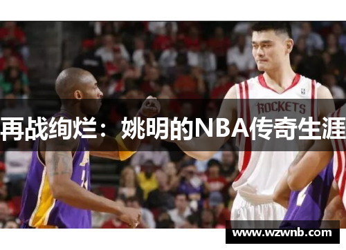 再战绚烂：姚明的NBA传奇生涯