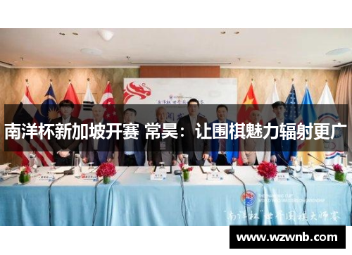 南洋杯新加坡开赛 常昊：让围棋魅力辐射更广